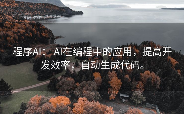 程序AI： AI在编程中的应用，提高开发效率，自动生成代码。